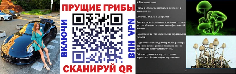 Галлюциногенные грибы прущие грибы  Мирный 